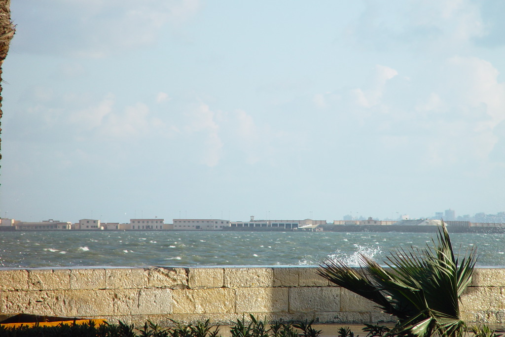 DSC02397.JPG