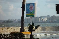 DSC02391.JPG