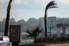 DSC02392.JPG