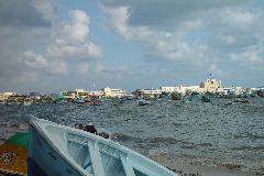 DSC02401.JPG