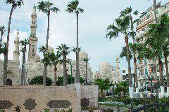 DSC02405.JPG