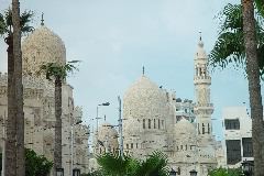 DSC02406.JPG