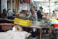 DSC02410.JPG