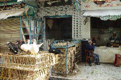 DSC02417.JPG