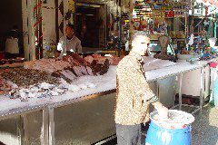 DSC02422.JPG