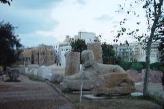DSC02479.JPG
