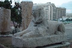 DSC02480.JPG