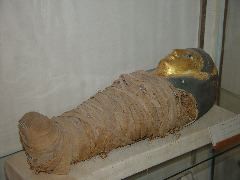 DSC02301.JPG