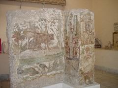 DSC02308.JPG