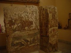 DSC02310.JPG